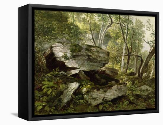 Study from Nature: Rocks and Trees, C.1856-Asher Brown Durand-Framed Stretched Canvas