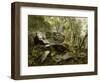 Study from Nature: Rocks and Trees, C.1856-Asher Brown Durand-Framed Giclee Print