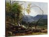 Study from Nature, Stratton Notch, Vermont, 1853-Asher Brown Durand-Stretched Canvas