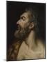 Study head of a bearded man, c.1565-Frans Floris-Mounted Giclee Print