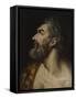 Study head of a bearded man, c.1565-Frans Floris-Framed Stretched Canvas