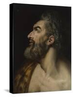 Study head of a bearded man, c.1565-Frans Floris-Stretched Canvas