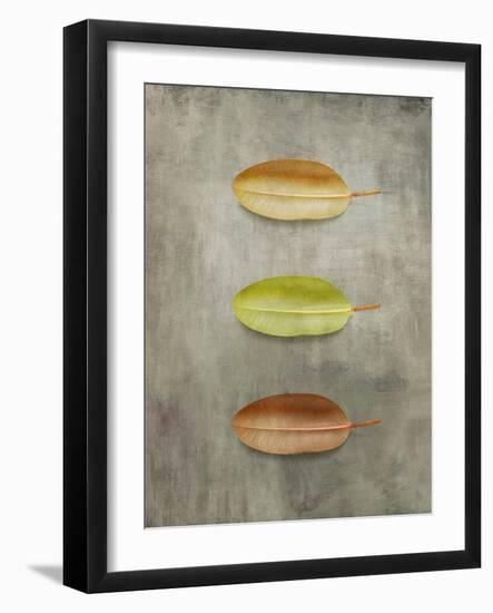 Study II-Anna Polanski-Framed Art Print