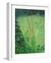 Study in Green - Pond-Ruth Addinall-Framed Giclee Print