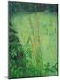 Study in Green - Pond-Ruth Addinall-Mounted Giclee Print