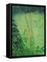 Study in Green - Pond-Ruth Addinall-Framed Stretched Canvas