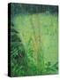 Study in Green - Pond-Ruth Addinall-Stretched Canvas