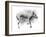 Study in Motion - Doze-Manny Woodard-Framed Giclee Print