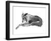 Study in Motion - Relax-Manny Woodard-Framed Giclee Print