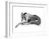 Study in Motion - Relax-Manny Woodard-Framed Giclee Print