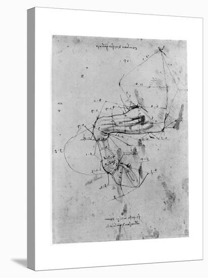 Study in Proportion of a Horse's Leg, Late 15th or Early 16th Century-Leonardo da Vinci-Stretched Canvas