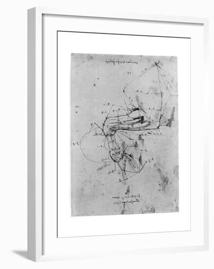 Study in Proportion of a Horse's Leg, Late 15th or Early 16th Century-Leonardo da Vinci-Framed Giclee Print