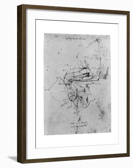 Study in Proportion of a Horse's Leg, Late 15th or Early 16th Century-Leonardo da Vinci-Framed Giclee Print