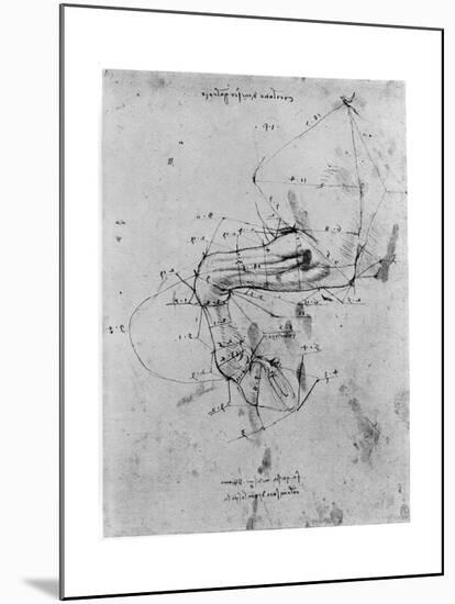 Study in Proportion of a Horse's Leg, Late 15th or Early 16th Century-Leonardo da Vinci-Mounted Giclee Print