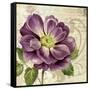 Study in Purple I-Pamela Gladding-Framed Stretched Canvas