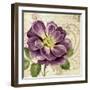 Study in Purple I-Pamela Gladding-Framed Art Print