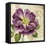 Study in Purple I-Pamela Gladding-Framed Stretched Canvas