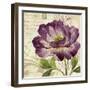 Study in Purple II-Pamela Gladding-Framed Art Print