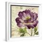 Study in Purple II-Pamela Gladding-Framed Art Print