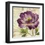 Study in Purple II-Pamela Gladding-Framed Art Print