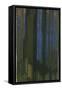 Study in Verticals-Frantisek Kupka-Framed Stretched Canvas