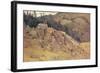 Study near Bernau in the Black Forest-Eugen Bracht-Framed Art Print