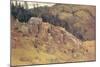 Study near Bernau in the Black Forest-Eugen Bracht-Mounted Art Print