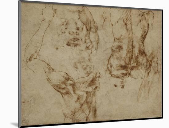 Study of a Back and Shoulder-Michelangelo Buonarroti-Mounted Giclee Print