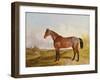 Study of a Bay Hunter in a Landscape, 1854 (Oil on Canvas)-John Dalby-Framed Giclee Print