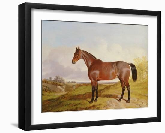 Study of a Bay Hunter in a Landscape, 1854 (Oil on Canvas)-John Dalby-Framed Giclee Print