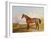 Study of a Bay Hunter in a Landscape, 1854 (Oil on Canvas)-John Dalby-Framed Giclee Print