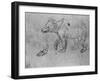 'Study of a Bear', c1480 (1945)-Leonardo Da Vinci-Framed Giclee Print