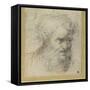 Study of a Bearded Head (Possibly for an Apostle)-Parmigianino-Framed Stretched Canvas