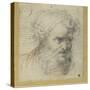 Study of a Bearded Head (Possibly for an Apostle)-Parmigianino-Stretched Canvas