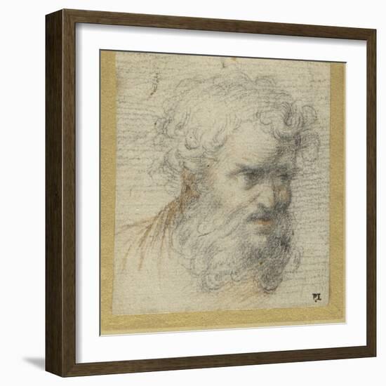 Study of a Bearded Head (Possibly for an Apostle)-Parmigianino-Framed Giclee Print