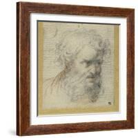 Study of a Bearded Head (Possibly for an Apostle)-Parmigianino-Framed Giclee Print