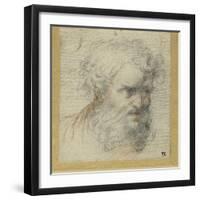 Study of a Bearded Head (Possibly for an Apostle)-Parmigianino-Framed Giclee Print