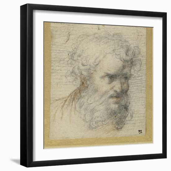 Study of a Bearded Head (Possibly for an Apostle)-Parmigianino-Framed Giclee Print