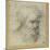 Study of a Bearded Head (Possibly for an Apostle)-Parmigianino-Mounted Giclee Print