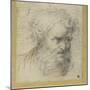 Study of a Bearded Head (Possibly for an Apostle)-Parmigianino-Mounted Giclee Print