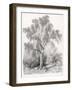 Study of a Birch-Hubert-Framed Art Print