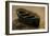 Study of a Boat, 1901-Charles Napier Hemy-Framed Giclee Print