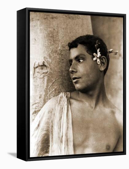 Study of a Boy with Flowers in His Hair, Naples, C.1899-Wilhelm Von Gloeden-Framed Stretched Canvas