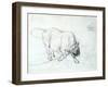 Study of a Bull-Theodore Gericault-Framed Giclee Print