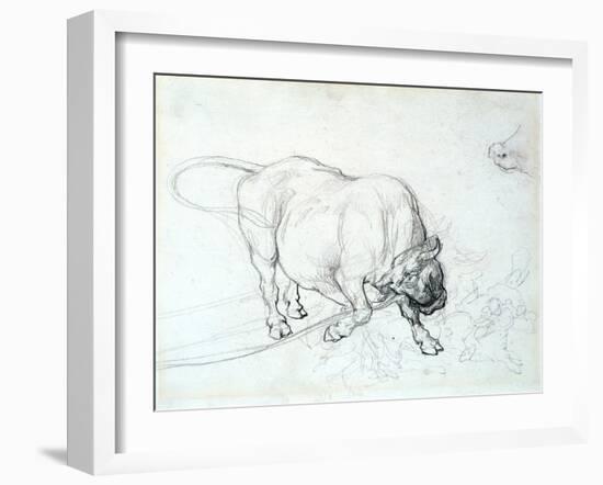 Study of a Bull-Theodore Gericault-Framed Giclee Print