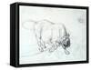 Study of a Bull-Theodore Gericault-Framed Stretched Canvas