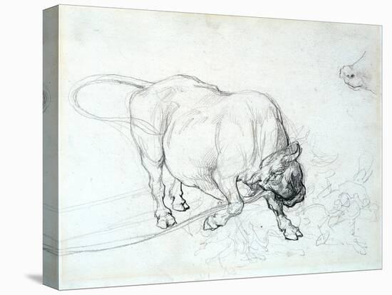 Study of a Bull-Theodore Gericault-Stretched Canvas