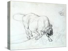 Study of a Bull-Theodore Gericault-Stretched Canvas