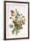 Study of a Bunch of Flowers, 1817-Antoine Berjon-Framed Giclee Print