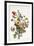 Study of a Bunch of Flowers, 1817-Antoine Berjon-Framed Giclee Print